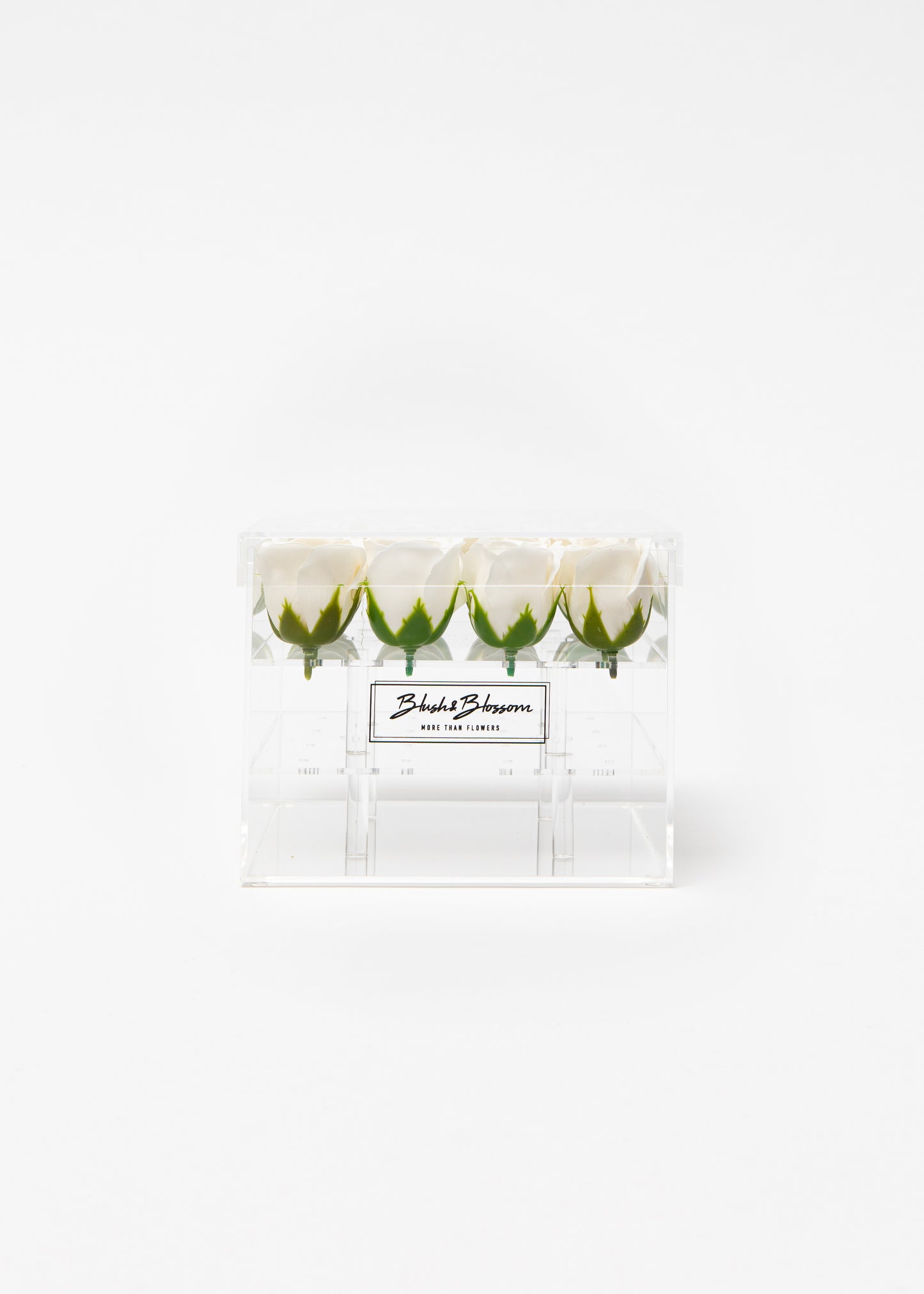 Coffret CLEAR