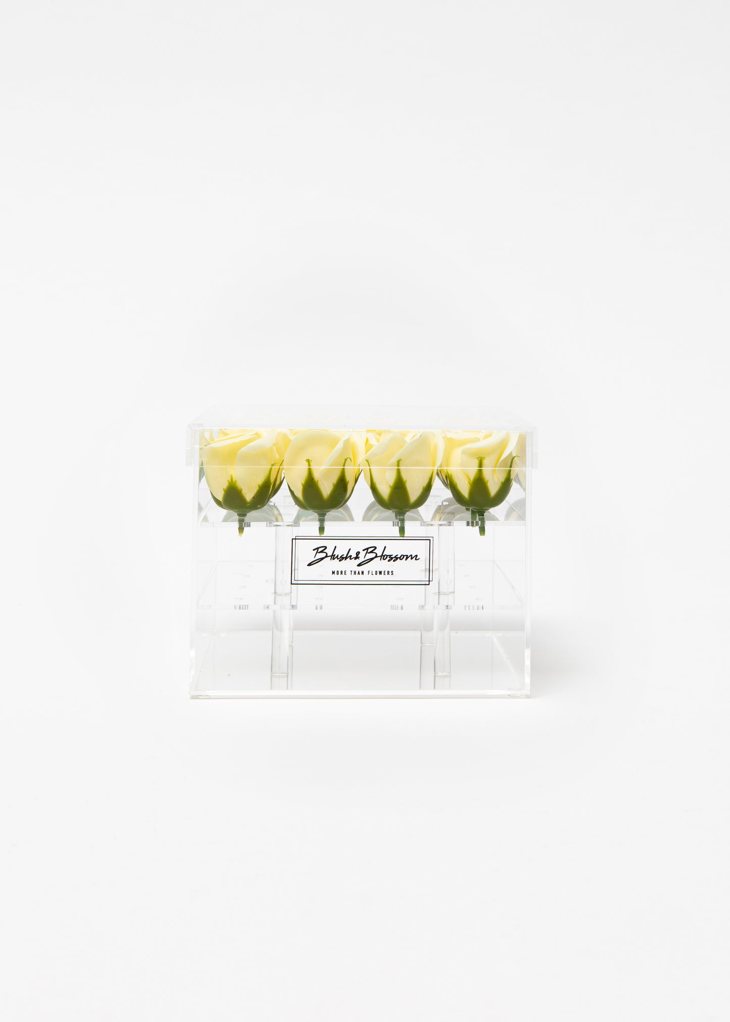 Coffret CLEAR