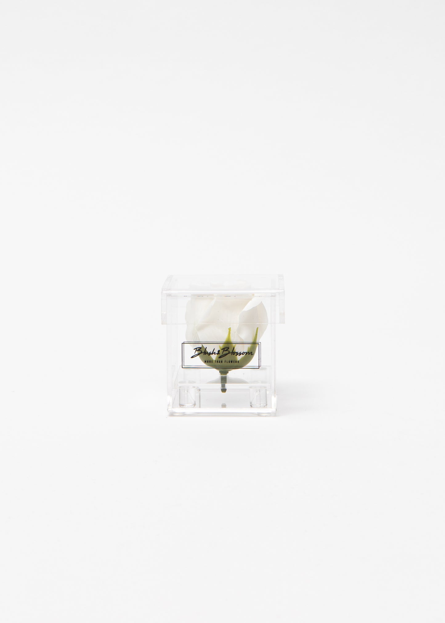 Coffret CLEAR