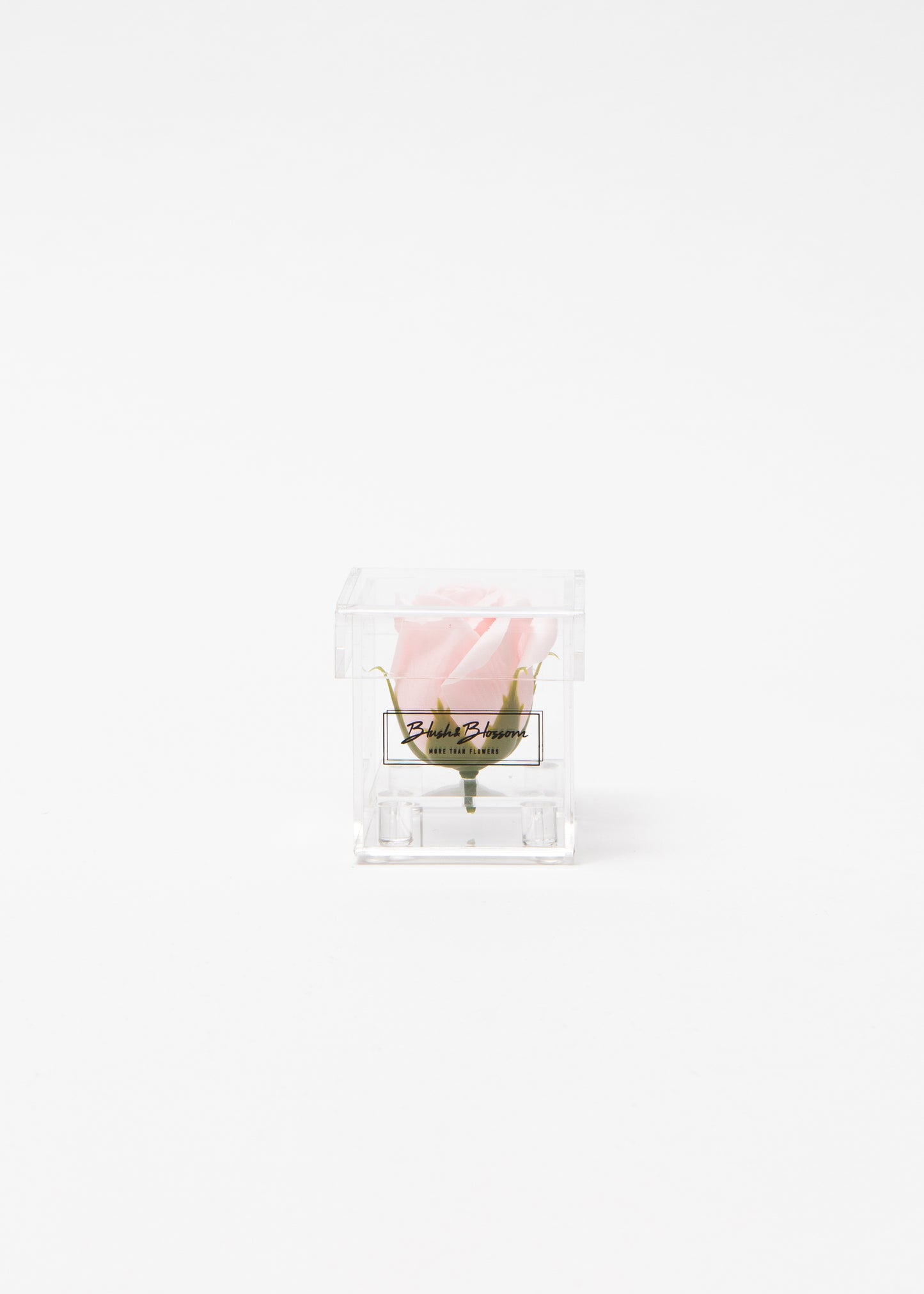 Coffret CLEAR