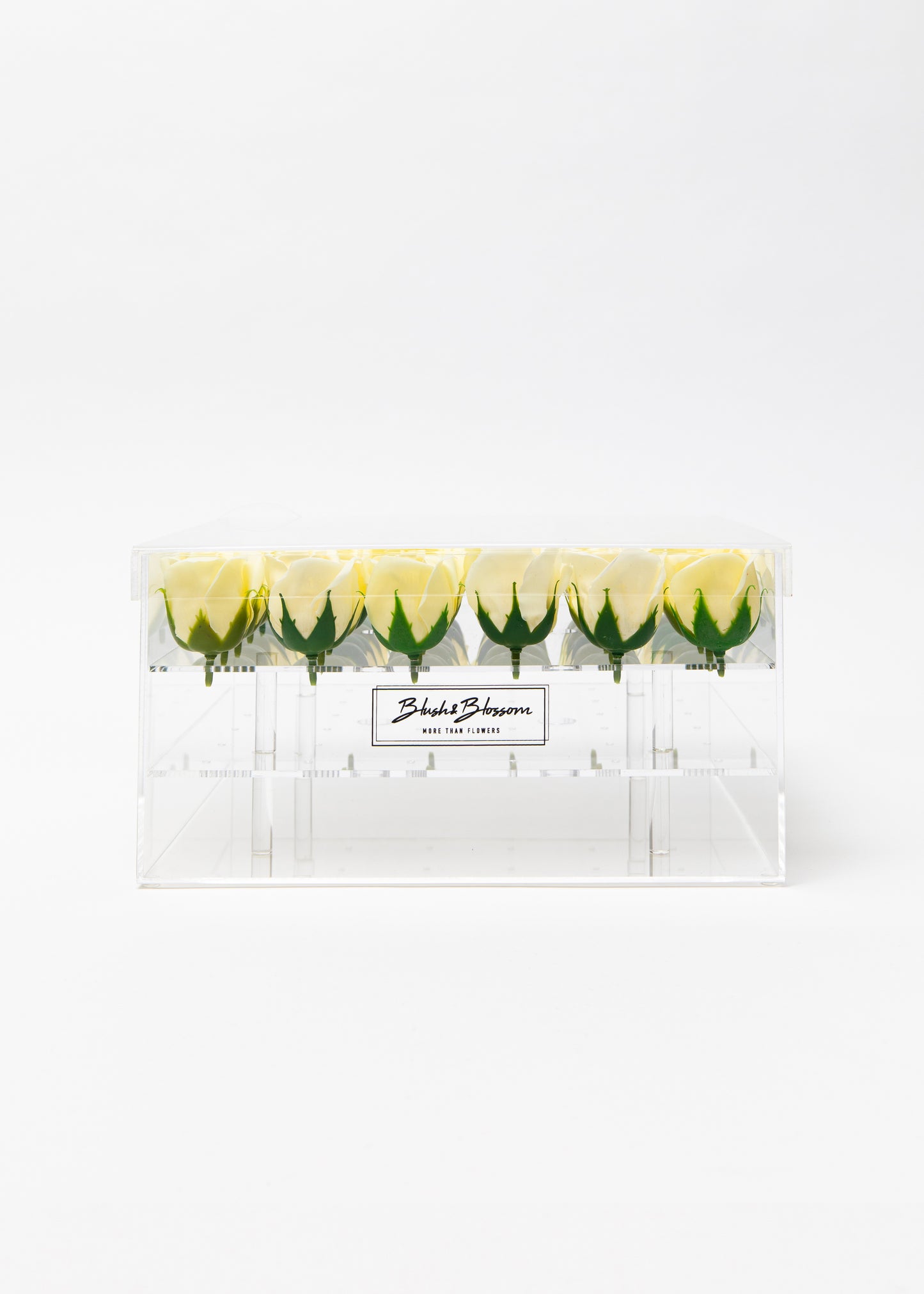 Coffret CLEAR