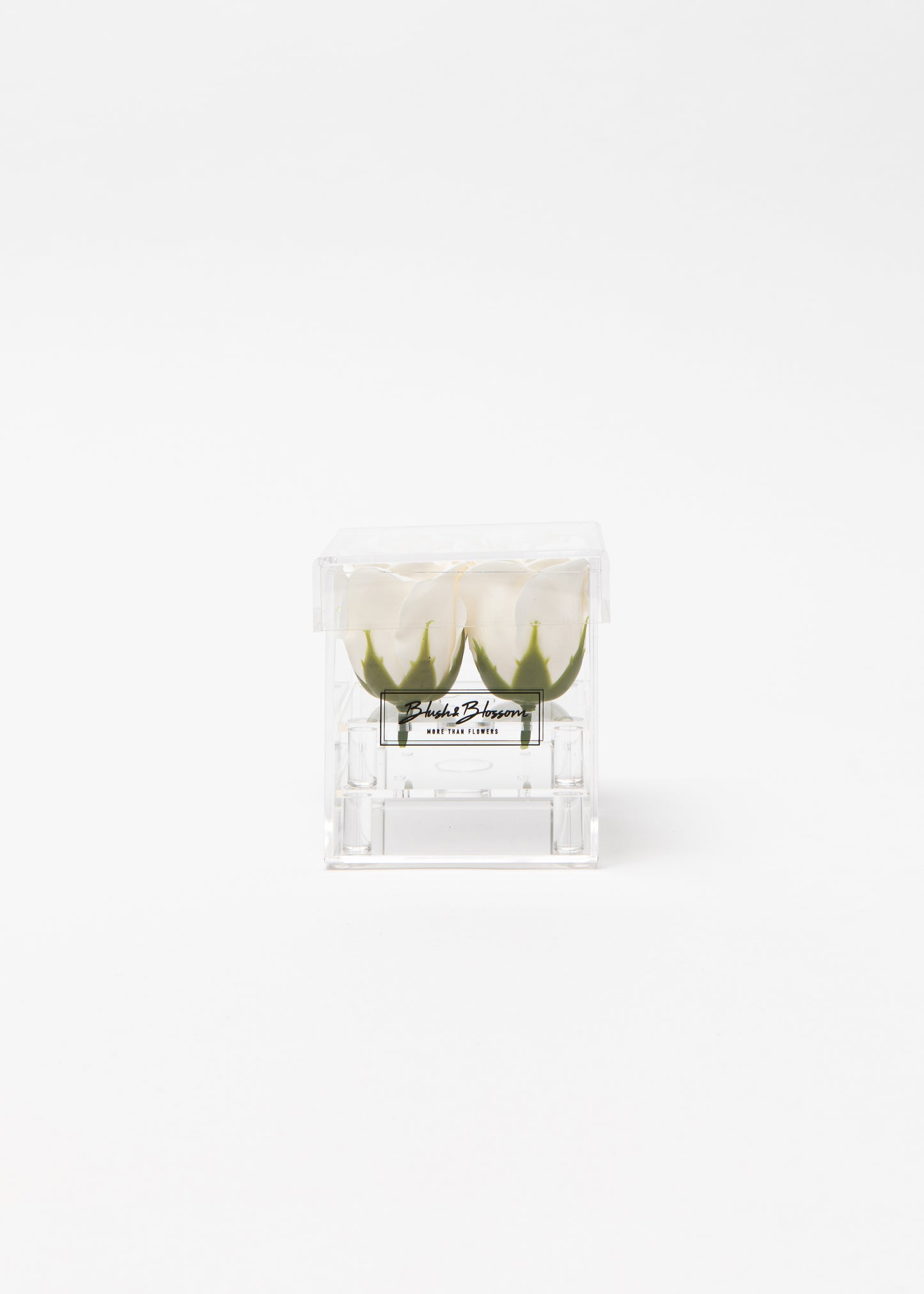 Coffret CLEAR