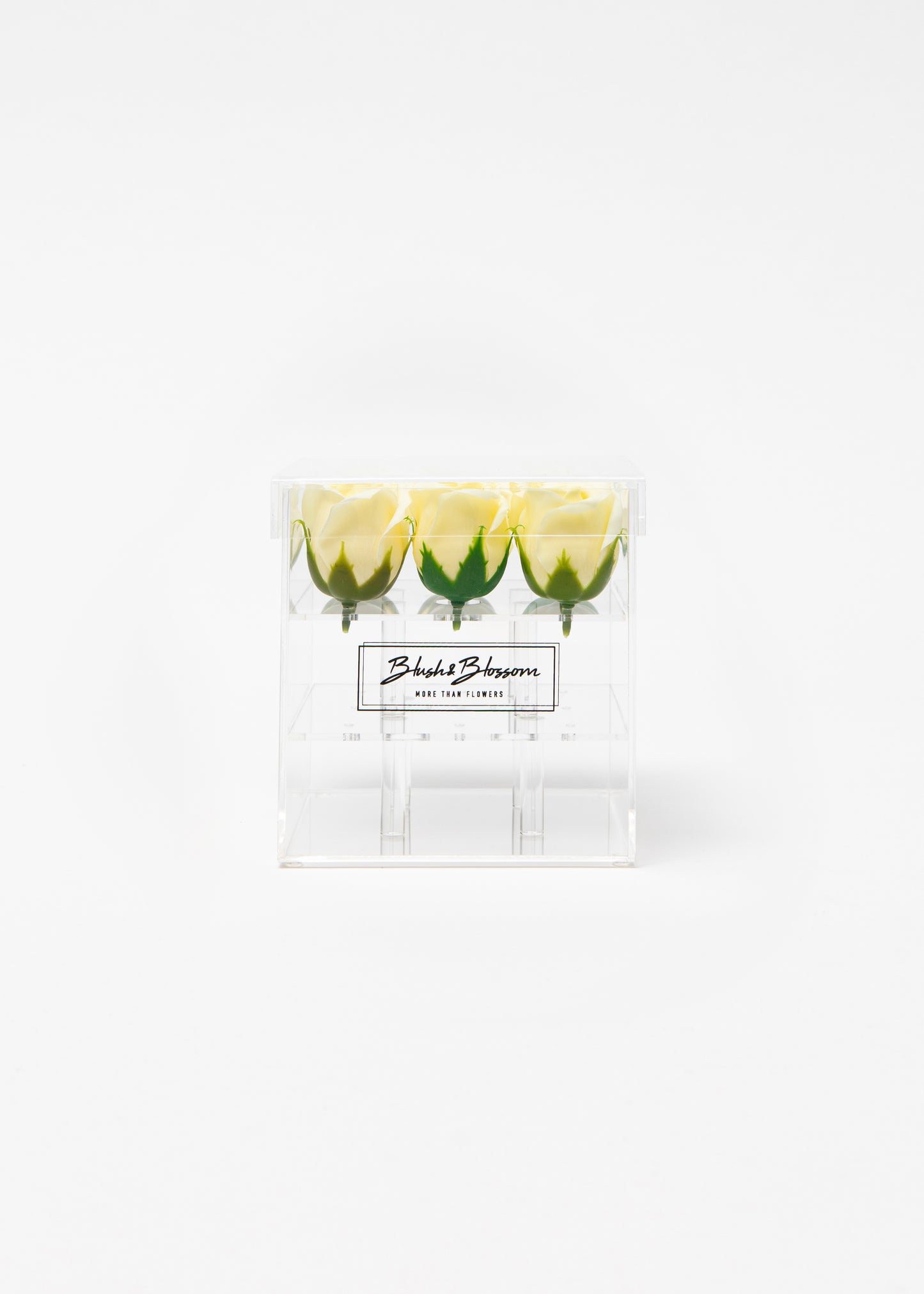 Coffret CLEAR