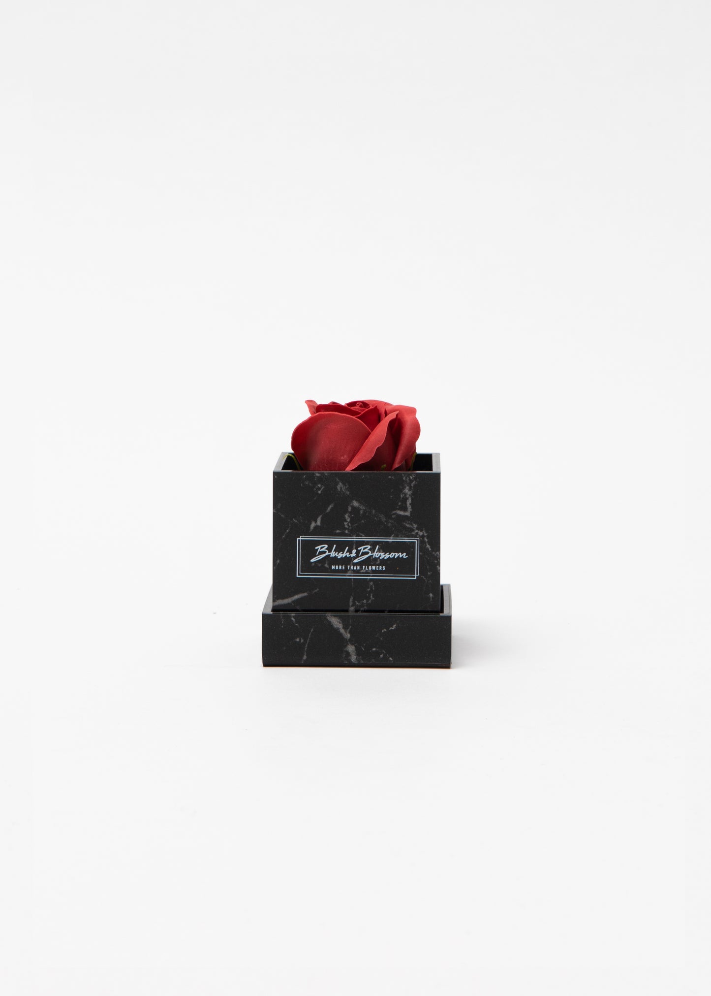 Coffret HOWLITE BLACK