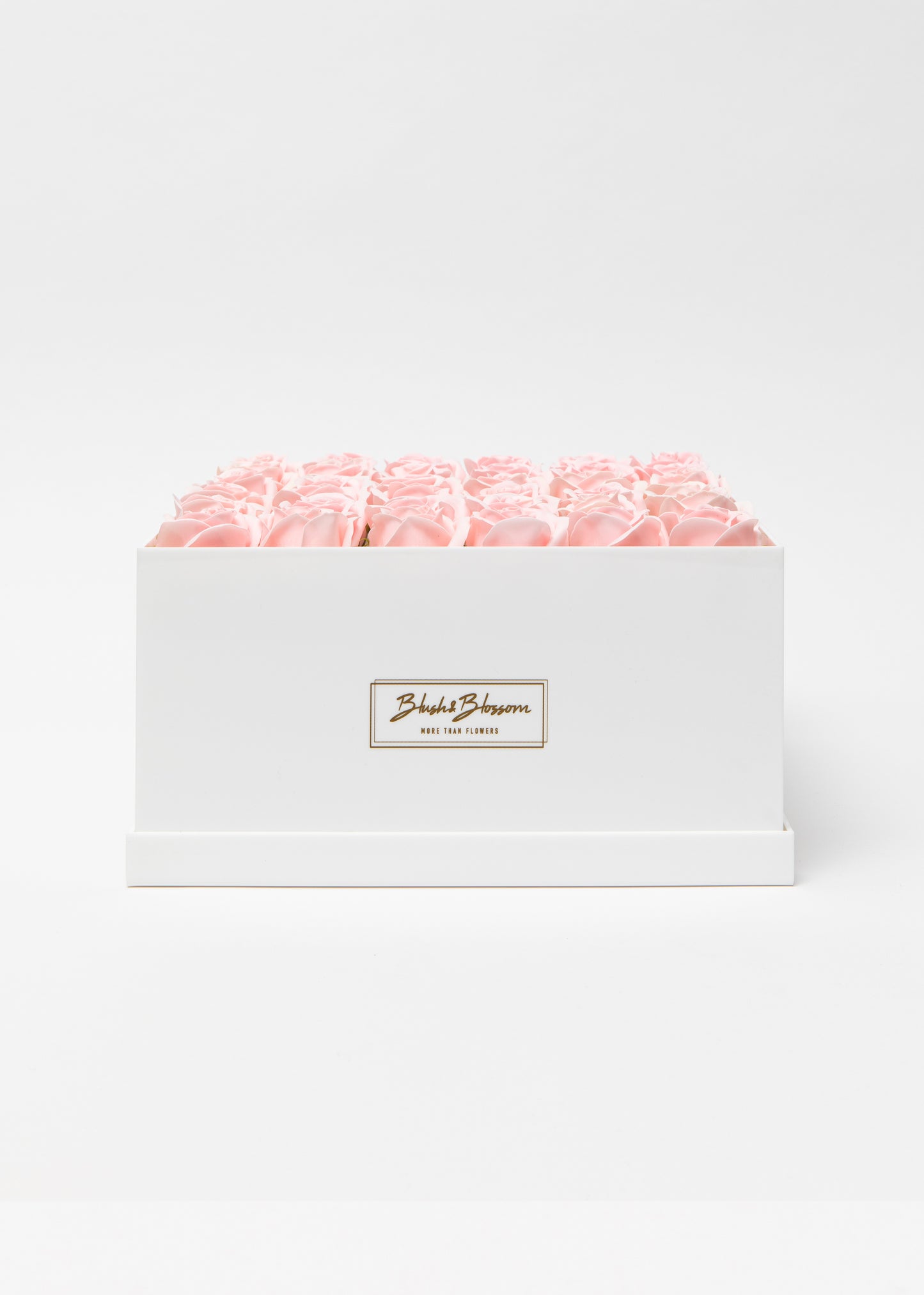 Coffret OPAL