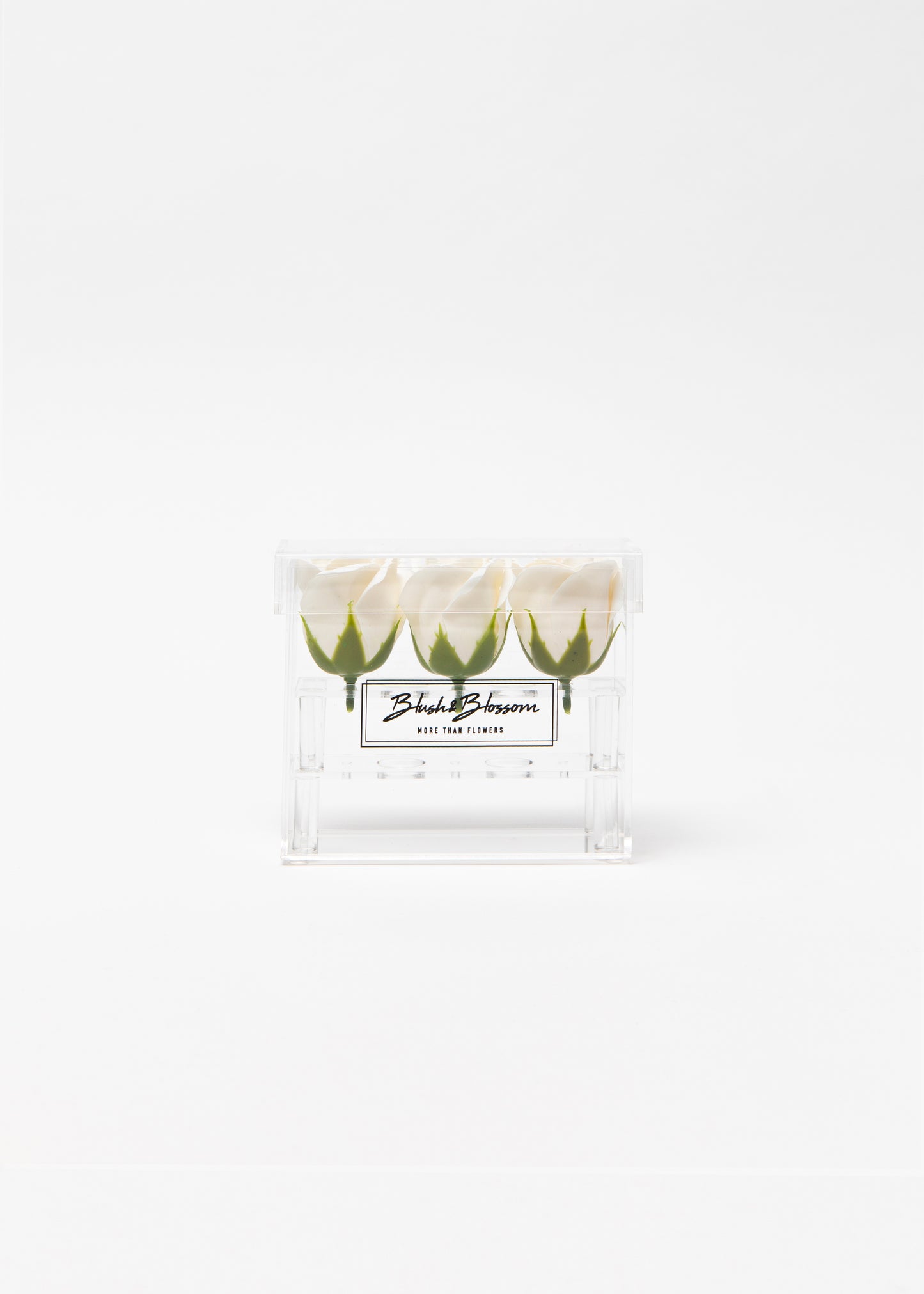Coffret CLEAR