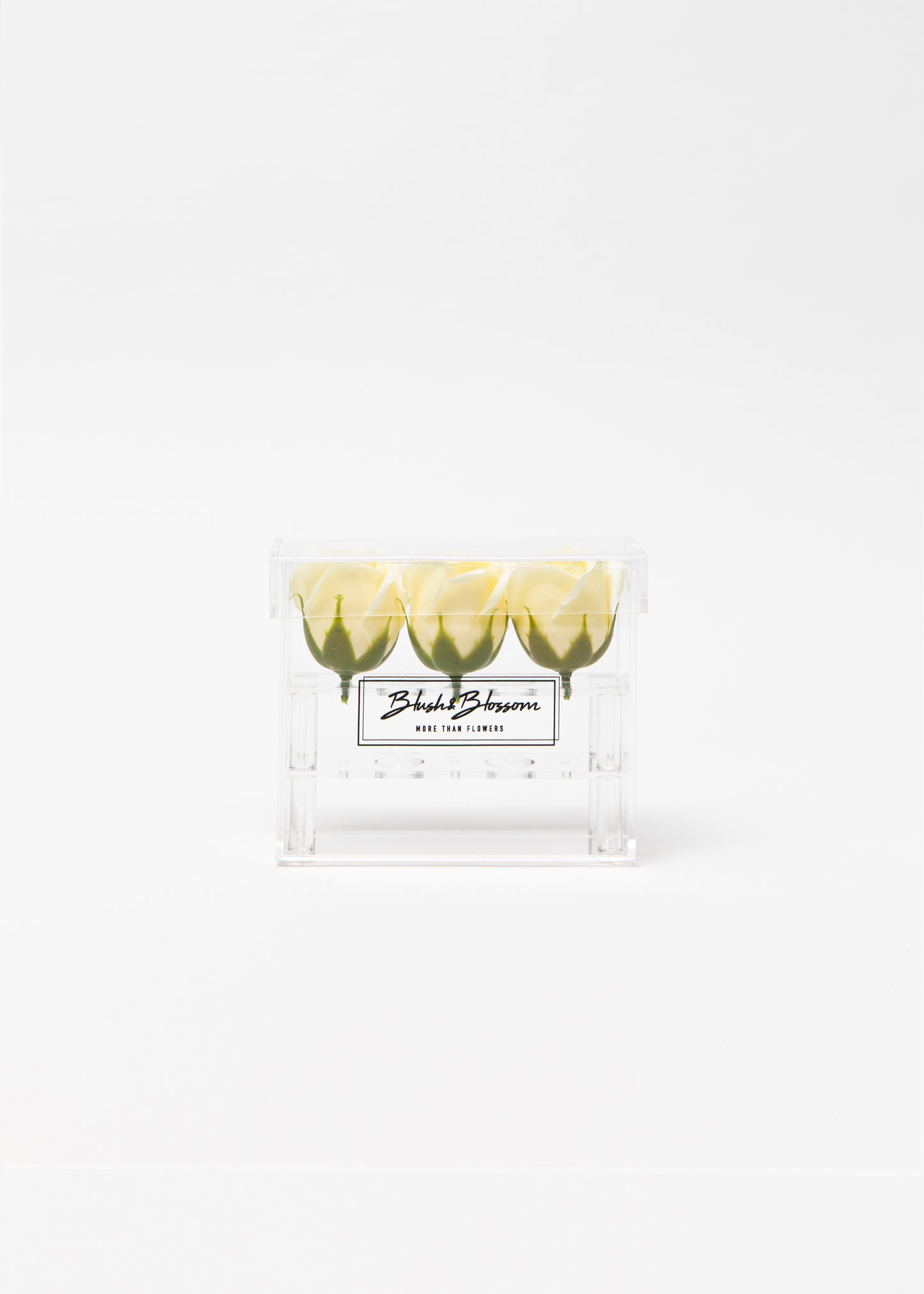 Coffret CLEAR