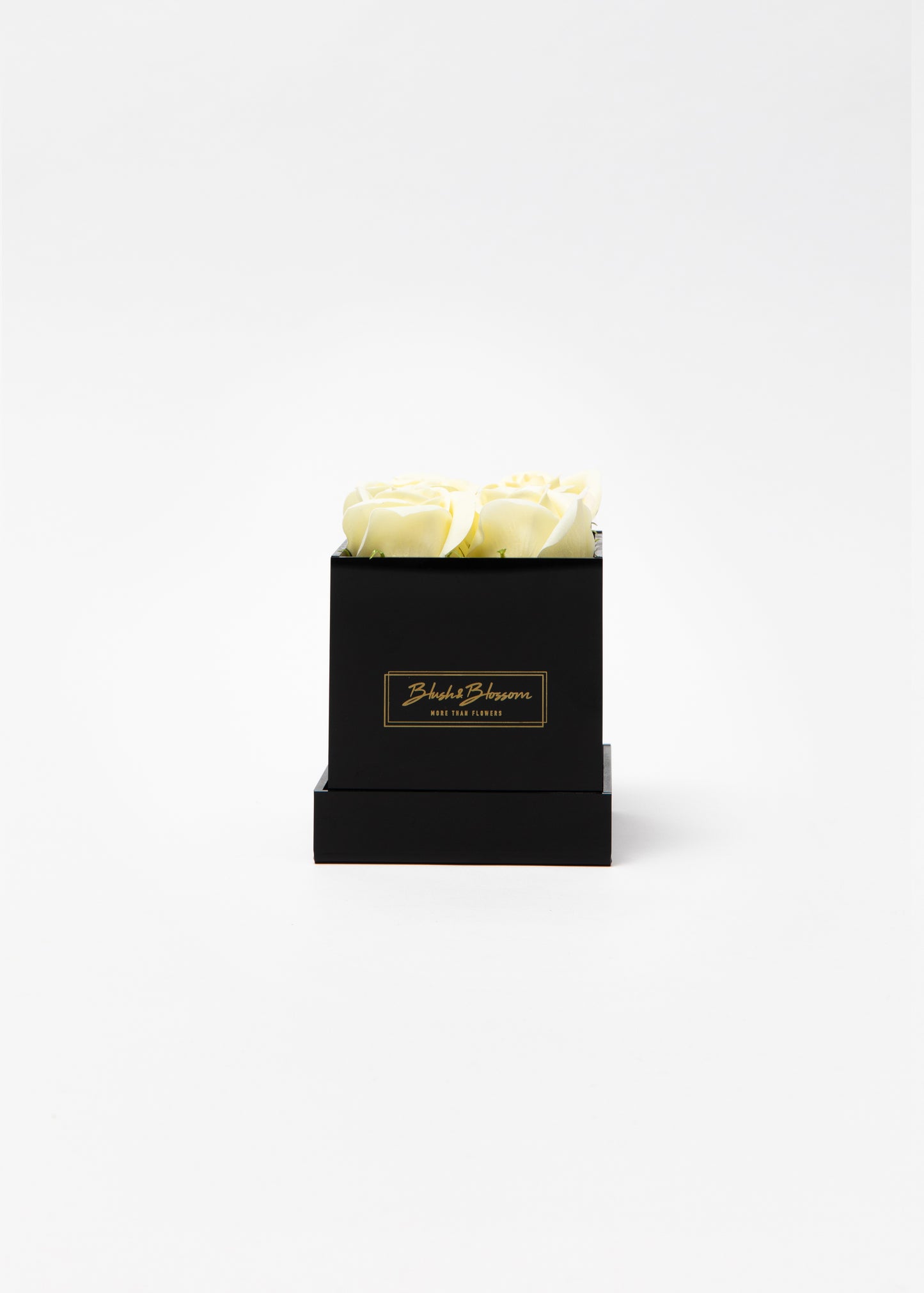 Coffret ONYX