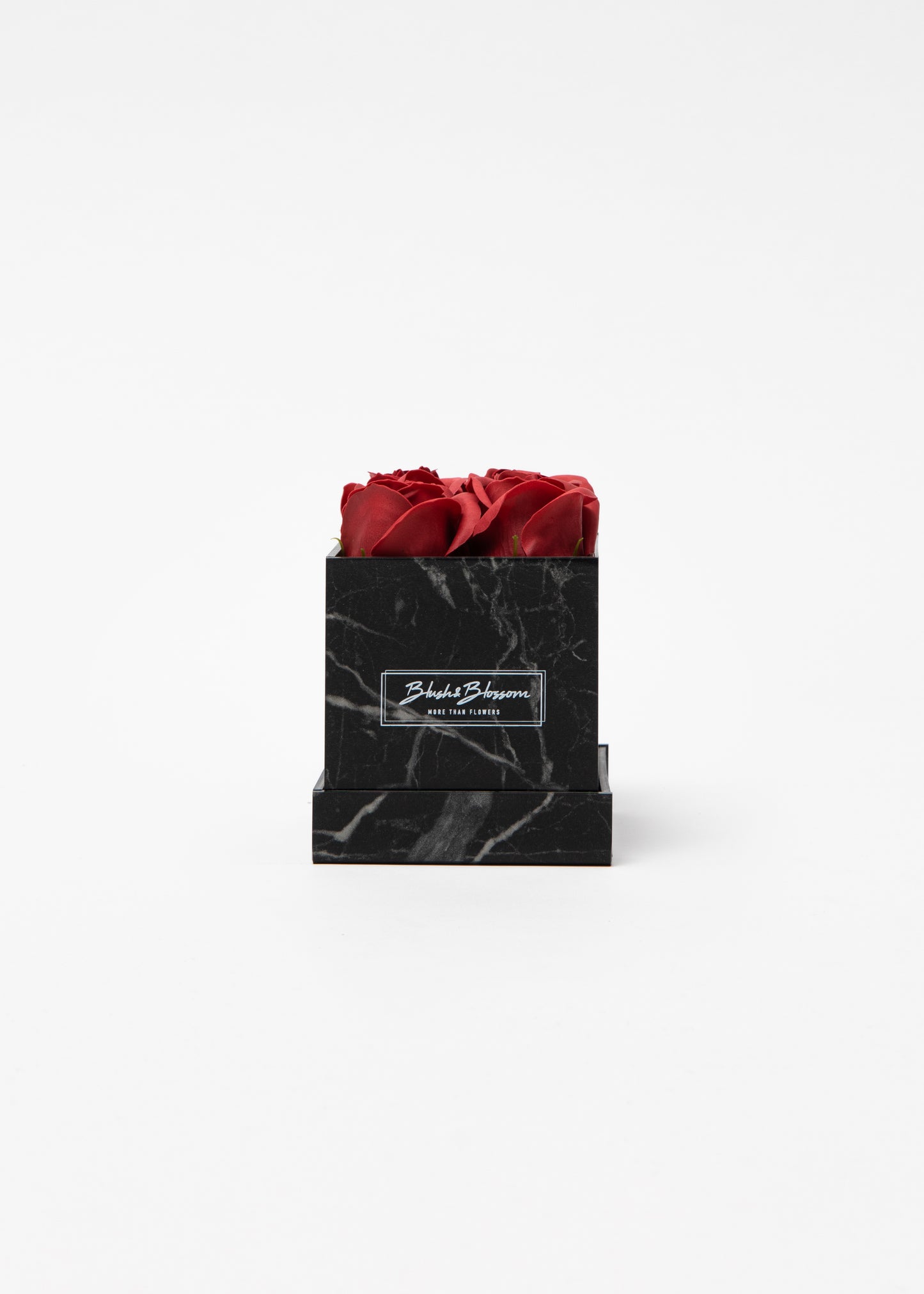 Coffret HOWLITE BLACK
