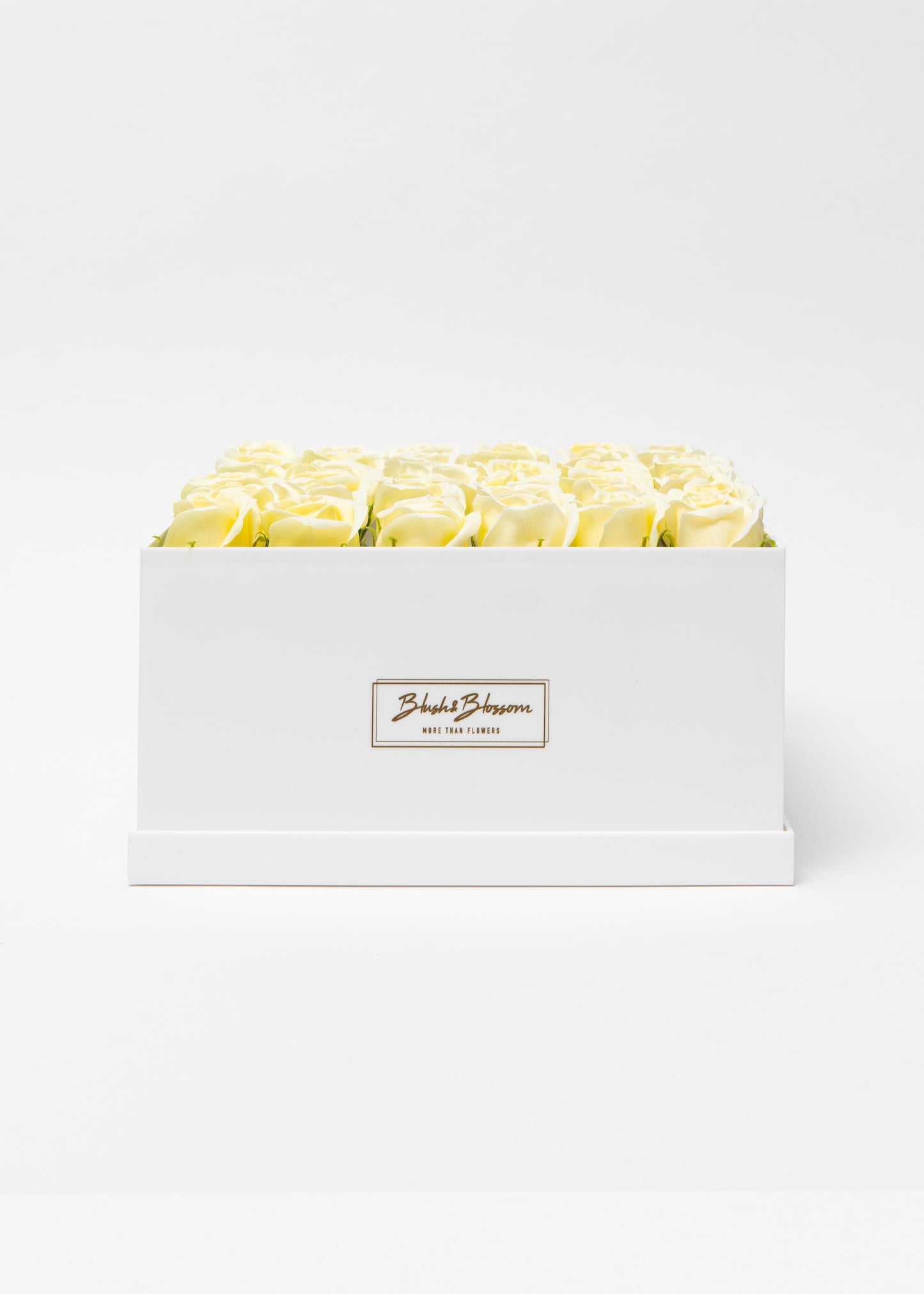 Coffret OPAL