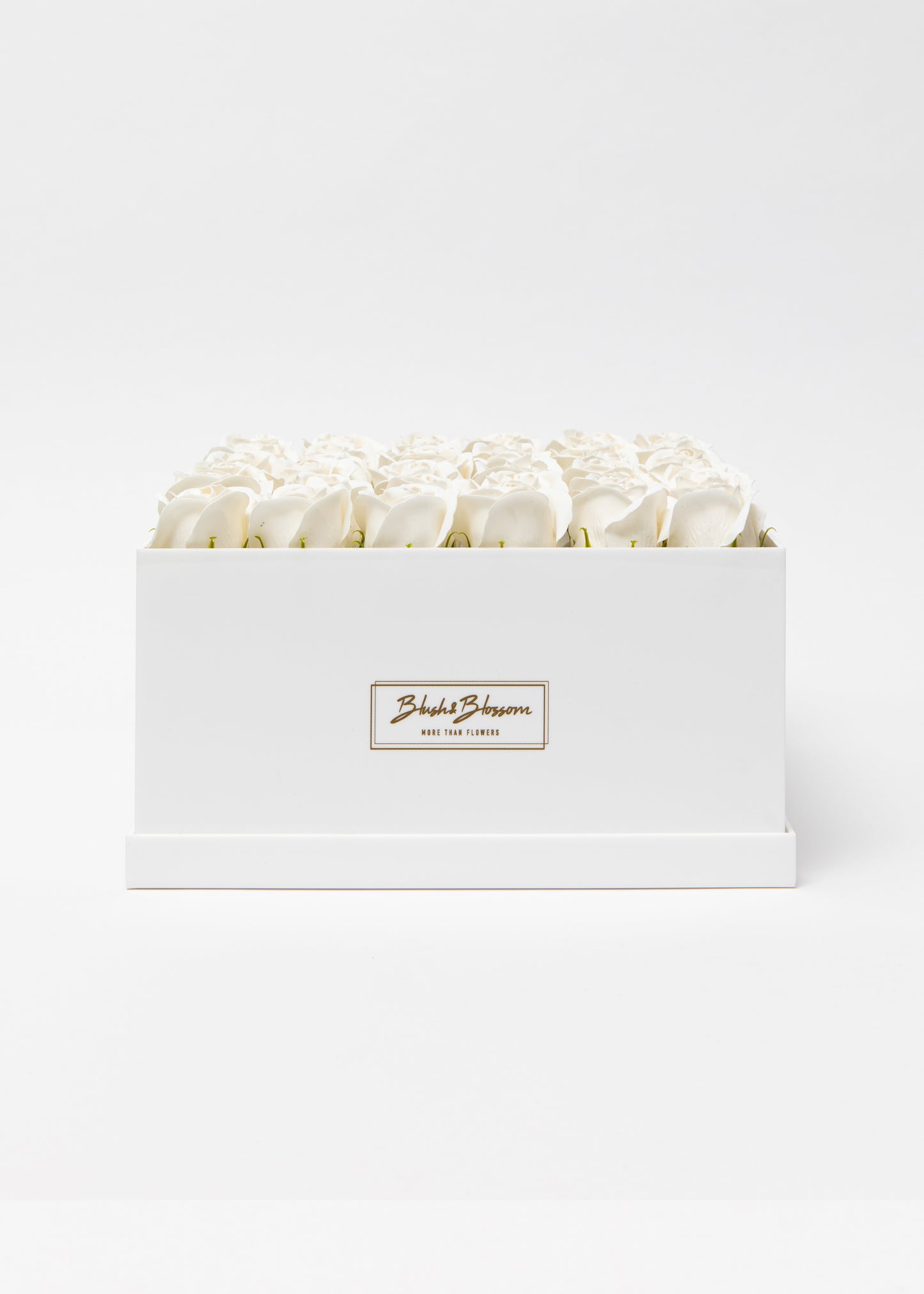 Coffret OPAL