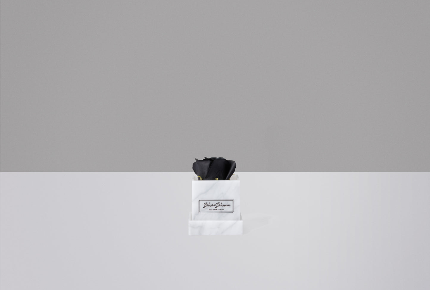 Coffret HOWLITE